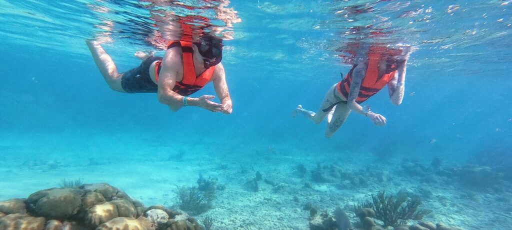 Private Cenote & Snorkeling Tour with Turtles in Akumal